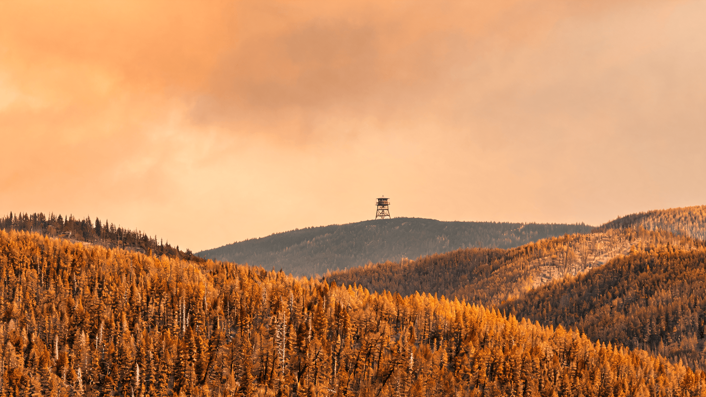 A landscape view of dry, yellowed Montana mountainous forest under a hazy, orange-tinged sky, with a